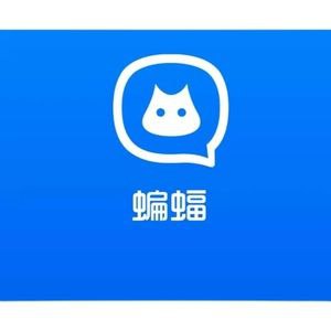 蝙蝠号  国内三网注册